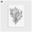 1-28_Ernst-Haeckel_postcard