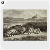 1-28_Eugene-Delacroix_picture-crop