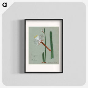 アートポスター-Snake Cactus
 - サボテン科 Poster.
