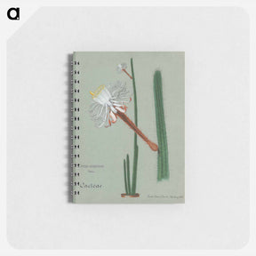 アートメモ帳-Snake Cactus
 - サボテン科 Memo.