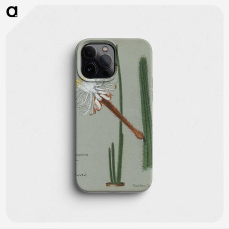 1-28_Familie-der-Cacteen_phone