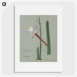 1-28_Familie-der-Cacteen_picture