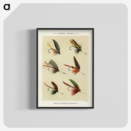 1-28_Favorite-Flies-and-Their-History_blk-crop
