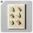 1-28_Favorite-Flies-and-Their-History_canvas