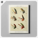1-28_Favorite-Flies-and-Their-History_canvas