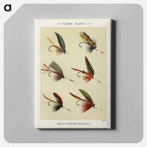 1-28_Favorite-Flies-and-Their-History_canvas