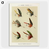 1-28_Favorite-Flies-and-Their-History_picture-crop