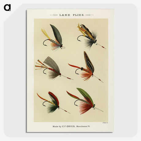 1-28_Favorite-Flies-and-Their-History_picture-crop