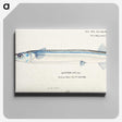 1-28_Frank-Edward-Clarke_canvas