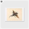 アートポストカード-Hercules Beetle
 - ジョージ エドワーズ Postcard.