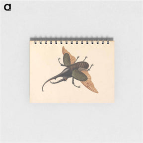 アートメモ帳-Hercules Beetle
 - ジョージ エドワーズ Memo.