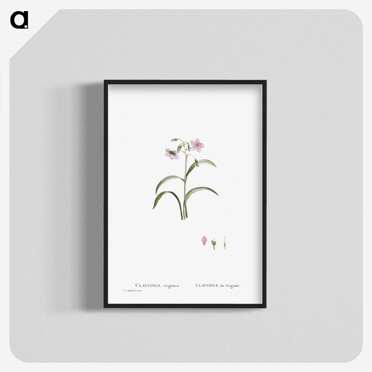 1-28_Histoire-des-Plantes-Grasses_blk-crop
