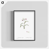 1-28_Histoire-des-Plantes-Grasses_blk-crop