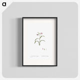1-28_Histoire-des-Plantes-Grasses_blk