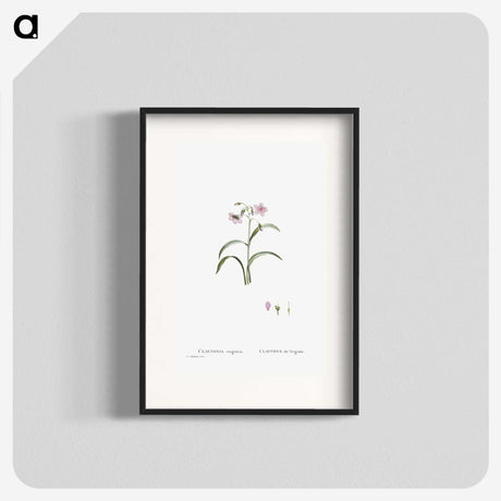 1-28_Histoire-des-Plantes-Grasses_blk