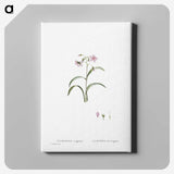 1-28_Histoire-des-Plantes-Grasses_canvas