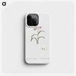 1-28_Histoire-des-Plantes-Grasses_phone