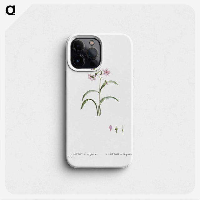 1-28_Histoire-des-Plantes-Grasses_phone
