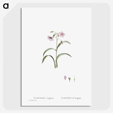1-28_Histoire-des-Plantes-Grasses_picture-crop