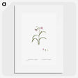 1-28_Histoire-des-Plantes-Grasses_picture