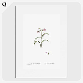 1-28_Histoire-des-Plantes-Grasses_picture