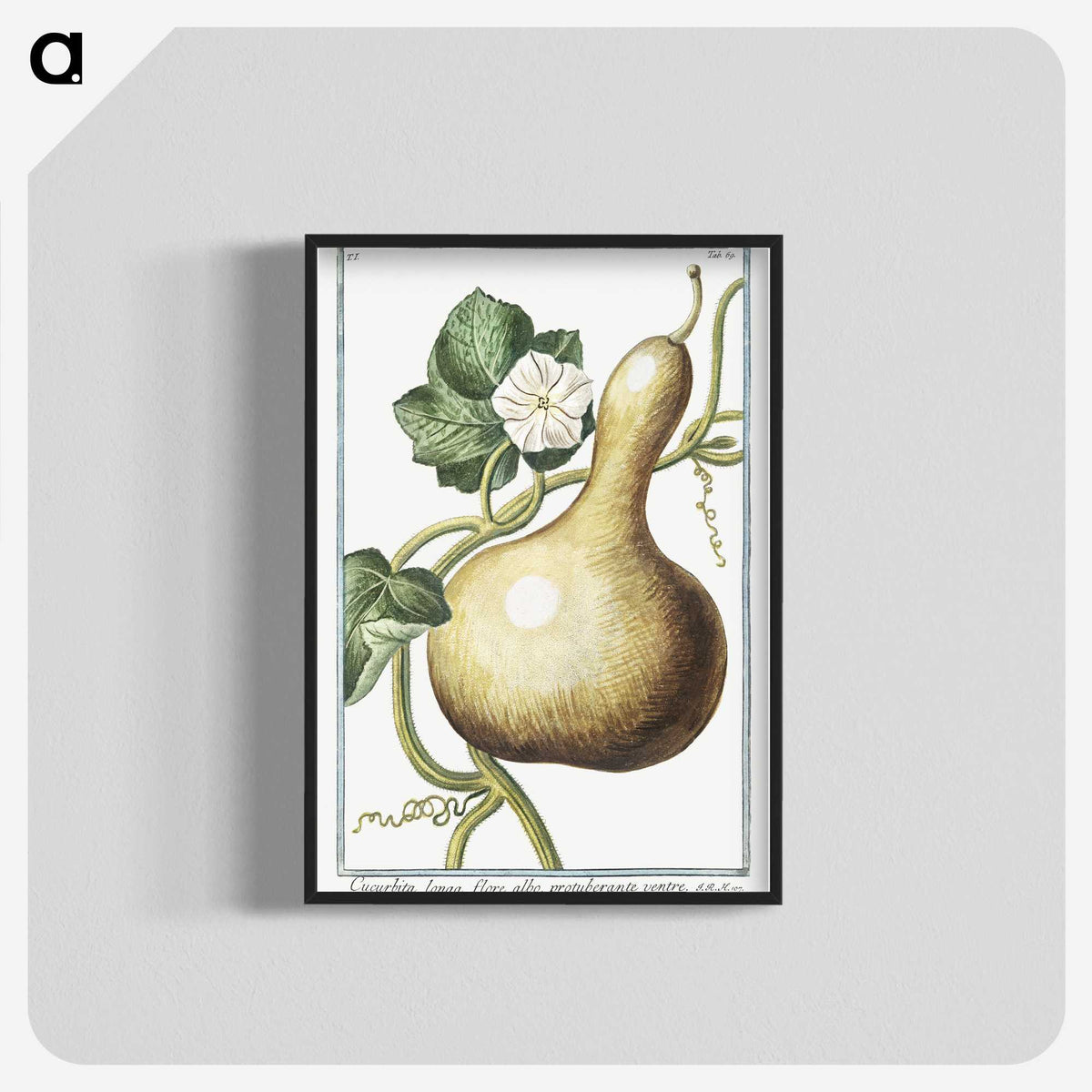 1-28_Hortus-Romanus-Botanical-Plates_blk-crop