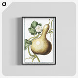 1-28_Hortus-Romanus-Botanical-Plates_blk-crop