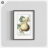 1-28_Hortus-Romanus-Botanical-Plates_blk