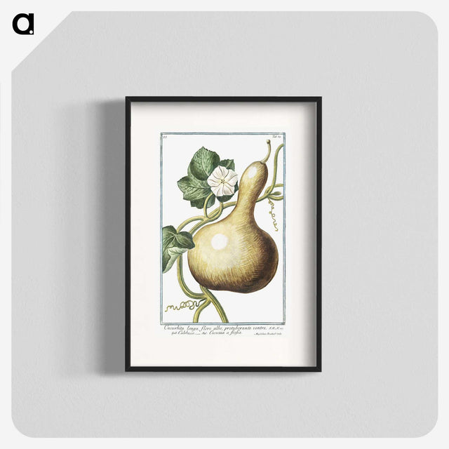 1-28_Hortus-Romanus-Botanical-Plates_blk
