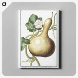 1-28_Hortus-Romanus-Botanical-Plates_canvas