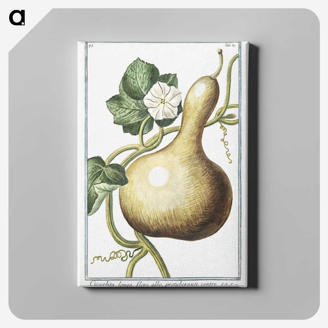 1-28_Hortus-Romanus-Botanical-Plates_canvas