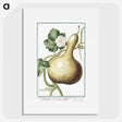 1-28_Hortus-Romanus-Botanical-Plates_picture