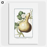 1-28_Hortus-Romanus-Botanical-Plates_picture