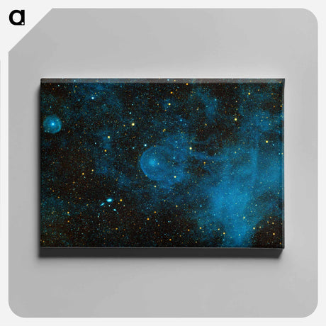 アートパネル-CW Leo: Runaway Star
 - ハッブル画像 Canvas.