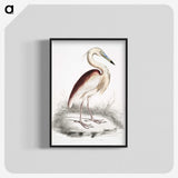 1-28_Indian-Zoology_blk-crop