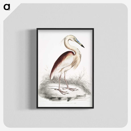 1-28_Indian-Zoology_blk-crop
