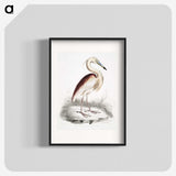 1-28_Indian-Zoology_blk
