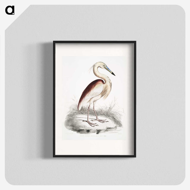 1-28_Indian-Zoology_blk
