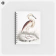 1-28_Indian-Zoology_memo