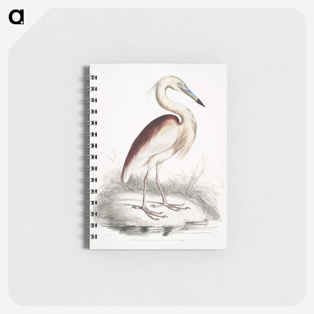 1-28_Indian-Zoology_memo