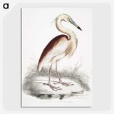 1-28_Indian-Zoology_picture-crop