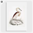 1-28_Indian-Zoology_picture