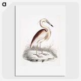 1-28_Indian-Zoology_picture