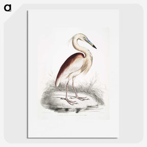 1-28_Indian-Zoology_picture