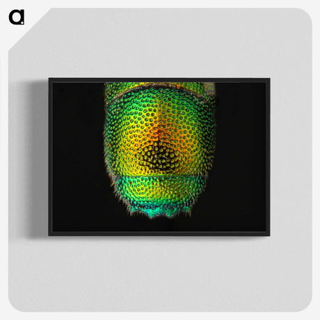 1-28_Insects-Unlocked-Project_blk-crop