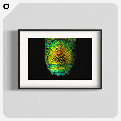 1-28_Insects-Unlocked-Project_blk