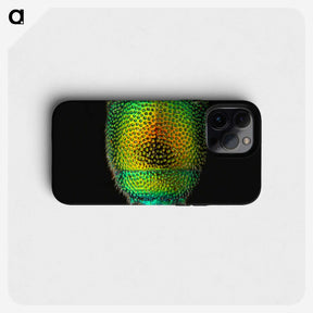 1-28_Insects-Unlocked-Project_phone