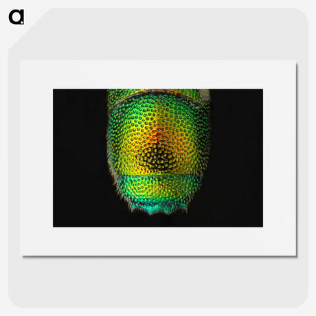 1-28_Insects-Unlocked-Project_picture