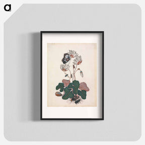 アートポスター-Cyclamen and Insects
 - ジェームズ ボルトン Poster.