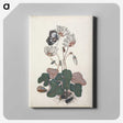 1-28_James-Bolton_canvas